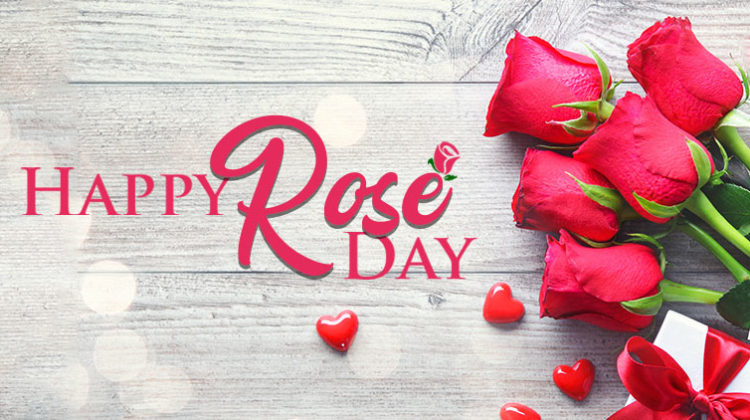 rose-day-1